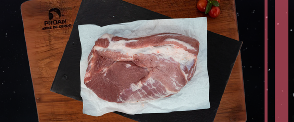 Para saber más del tema, te invitamos a seguir leyendo los siguientes artículos: