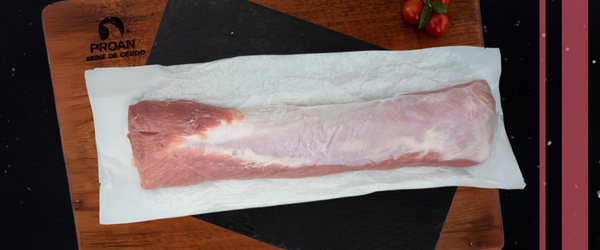 Para saber más del tema, te invitamos a seguir leyendo los siguientes artículos: