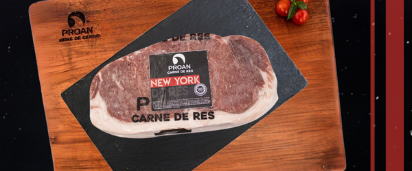 Para saber más del tema, te invitamos a seguir leyendo los siguientes artículos: