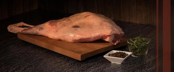 Para saber más del tema, te invitamos a seguir leyendo los siguientes artículos: