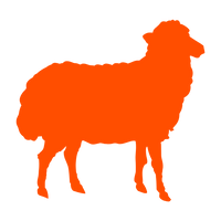 Cordero