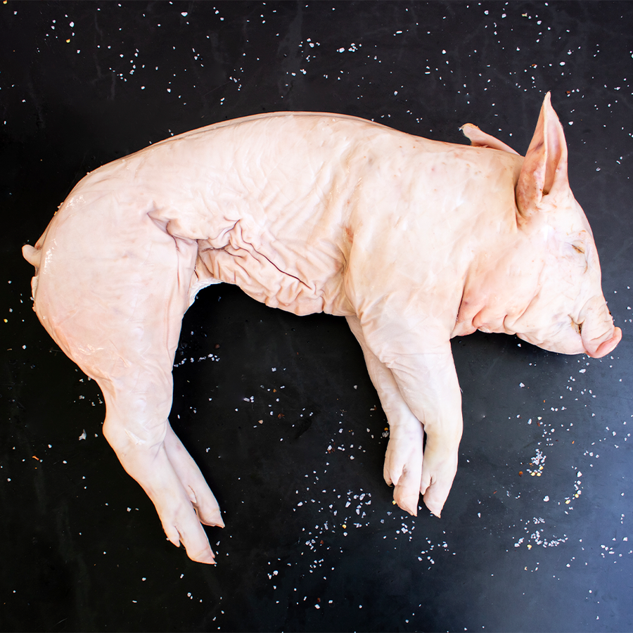 Lechón tierno entero