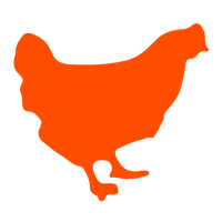 Pollo